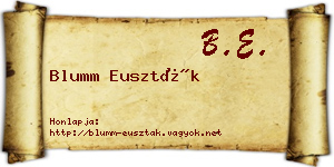 Blumm Euszták névjegykártya